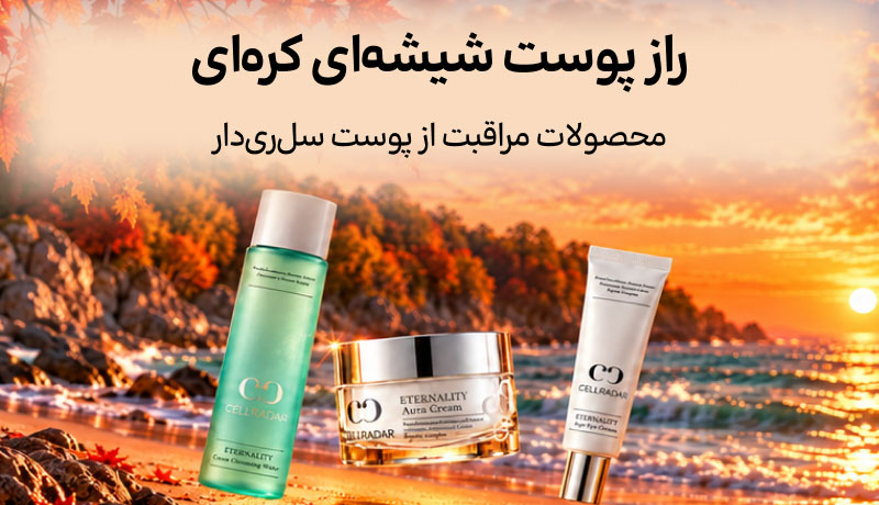 بنر سرچ